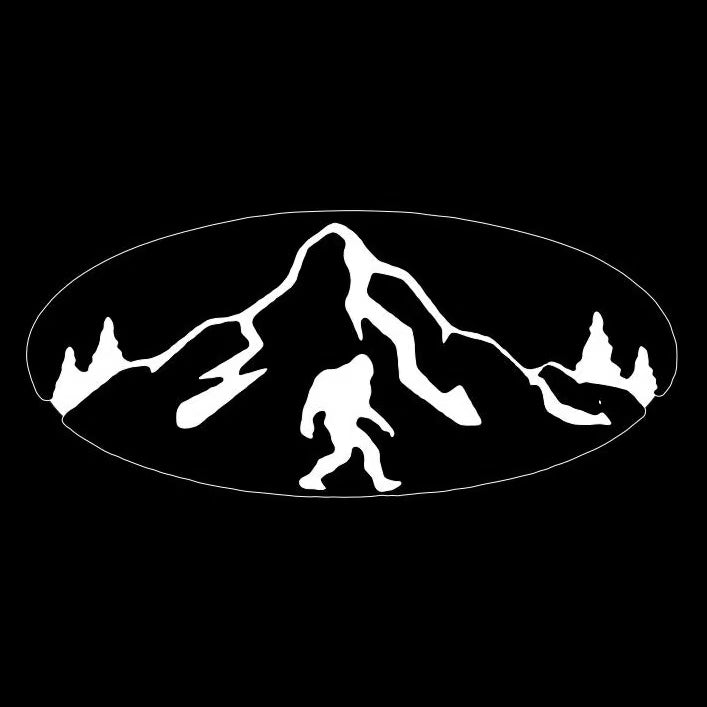 BRZ LOGO PROJECROTR LUCI Nr. 03 (quantità 1 = 1 set / 2 luci di portello)