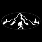 BRZ LOGO PROJECROTR LUCI Nr. 03 (quantità 1 = 1 set / 2 luci di portello)