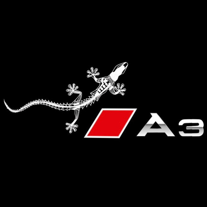 AUDI LOGO PROJECTOT LIGHTS Nr.120 (quantité 1 = 2 Logo Films /2 feux de porte)
