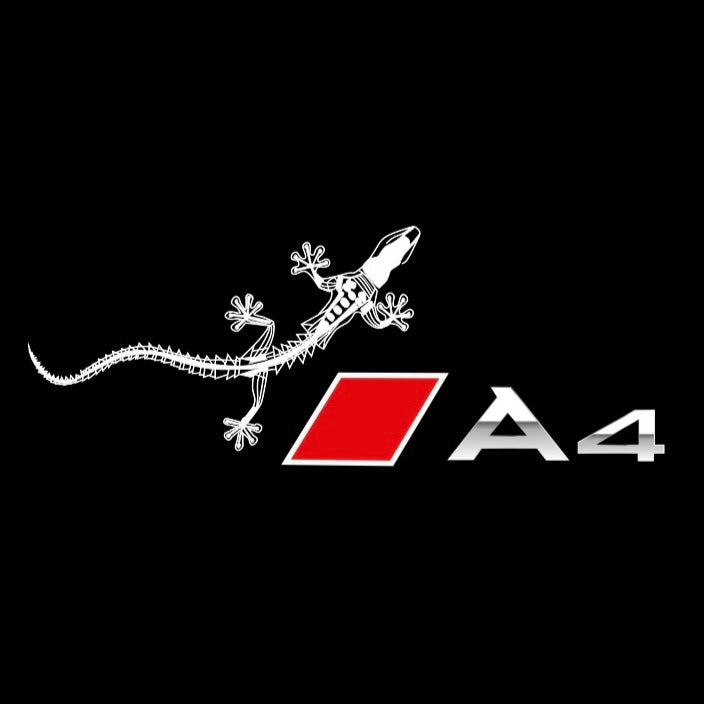 AUDI LOGO PROJECTOT LIGHTS Nr.120 (الكمية 1 = 2 Logo Films /2 أضواء الباب)