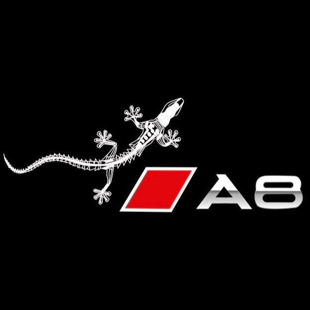 AUDI LOGO PROJECTOT LIGHTS Nr.46 (الكمية 1 = 2 Logo Films /2 أضواء الباب)