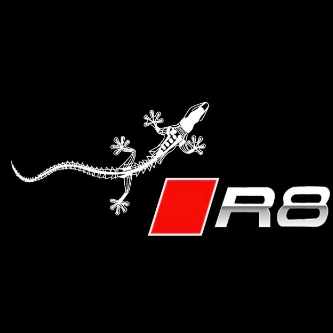 AUDI LOGO PROJECTOT LIGHTS Nr.120 (الكمية 1 = 2 Logo Films /2 أضواء الباب)