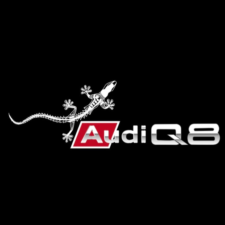 AUDI LOGO PROJECTOT LIGHTS Nr.120 (الكمية 1 = 2 Logo Films /2 أضواء الباب)