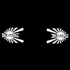 BRZ LOGO PROJECROTR LIGHTS Nr.03 (Menge 1 = 1 Sets/2 Türleuchten)