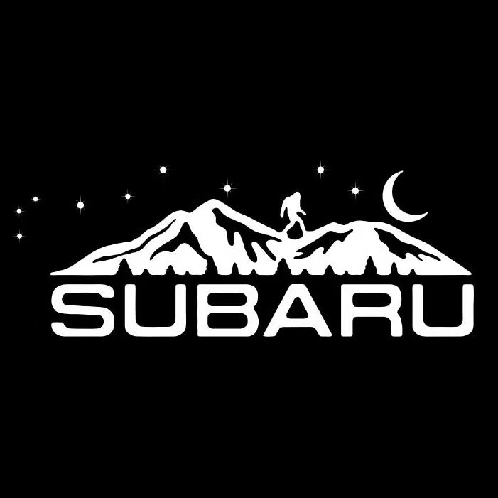 BRZ LOGO PROJECROTR LUCI Nr. 03 (quantità 1 = 1 set / 2 luci di portello)