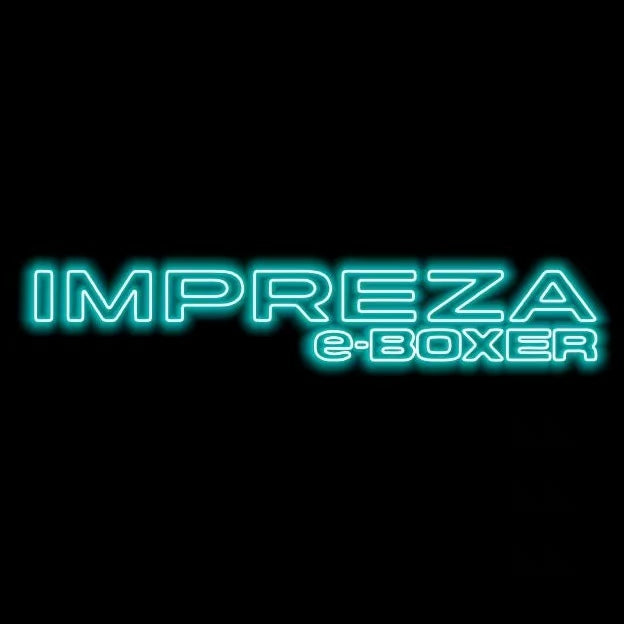 BRZ LOGO PROJECROTR LIGHTS Nr.03 (quantité 1 = 1 ensemble/2 feux de porte)