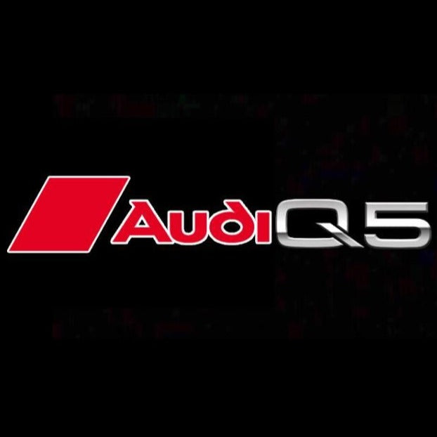 AUDI LOGO PROJECTOT LIGHTS Nr.81 (quantità 1 = 2 Logo Films /2 luci porta)