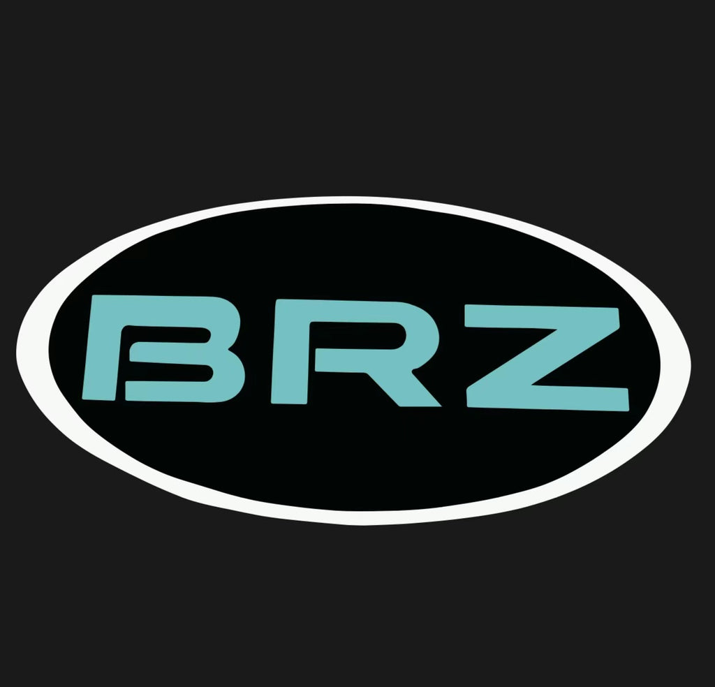 BRZ LOGO PROJECROTR LUCI Nr. 03 (quantità 1 = 1 set / 2 luci di portello)