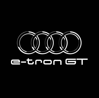 AUDI LOGO PROJECTOT LIGHTS Nr.19 (Menge 1 = 2 Logo Folien /2 Türleuchten)