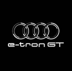 AUDI LOGO PROJECTOT LIGHTS Nr.19 (Menge 1 = 2 Logo Folien /2 Türleuchten)