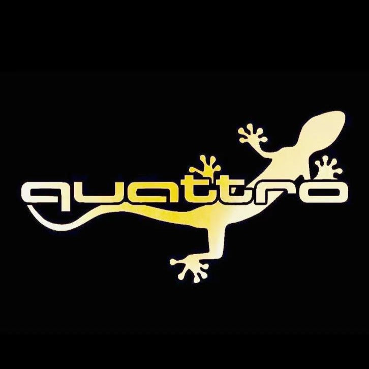 AUDI QUATTRO GECKO LOGO PROJECTOR LIGHTS Nr.64 (الكمية 1 = 2 فيلم شعار / 2 باب)