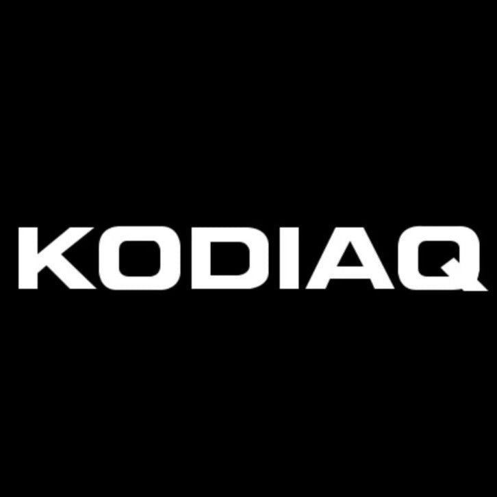 SKODA KODIAQ LOGO PROJECTOR LIGHTS Nr.97 (الكمية 1 = 2 شعار فيلم / 2 أضواء باب)