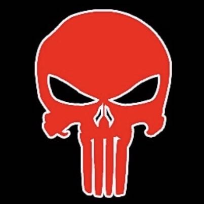 Punisher Logo Nr.205 (Menge 1 = 2 Logofilme /2 Türleuchten)