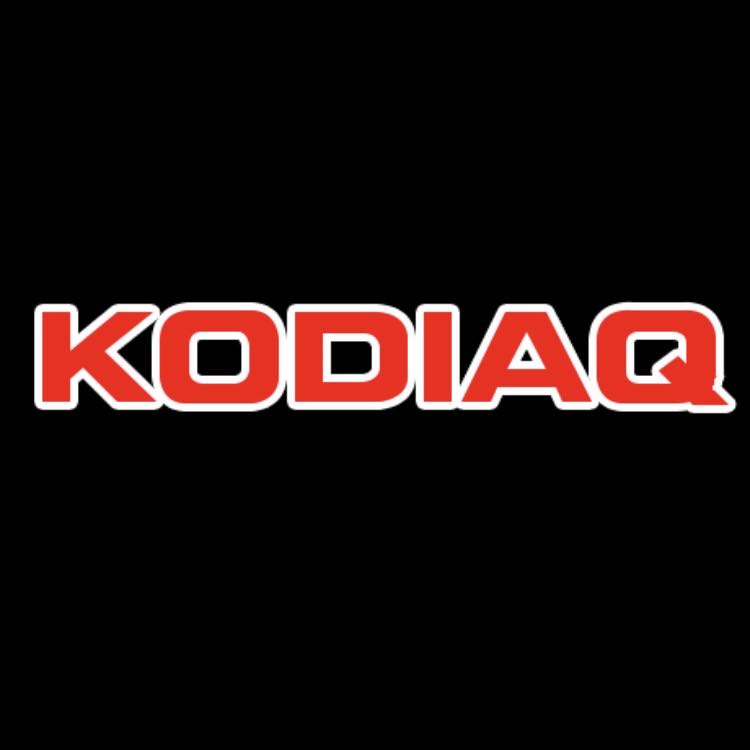 SKODA KODIAQ LOGO PROJECTOT LIGHTS Nr.100 (Menge 1 = 2 Logo Film / 2 Türleuchten)