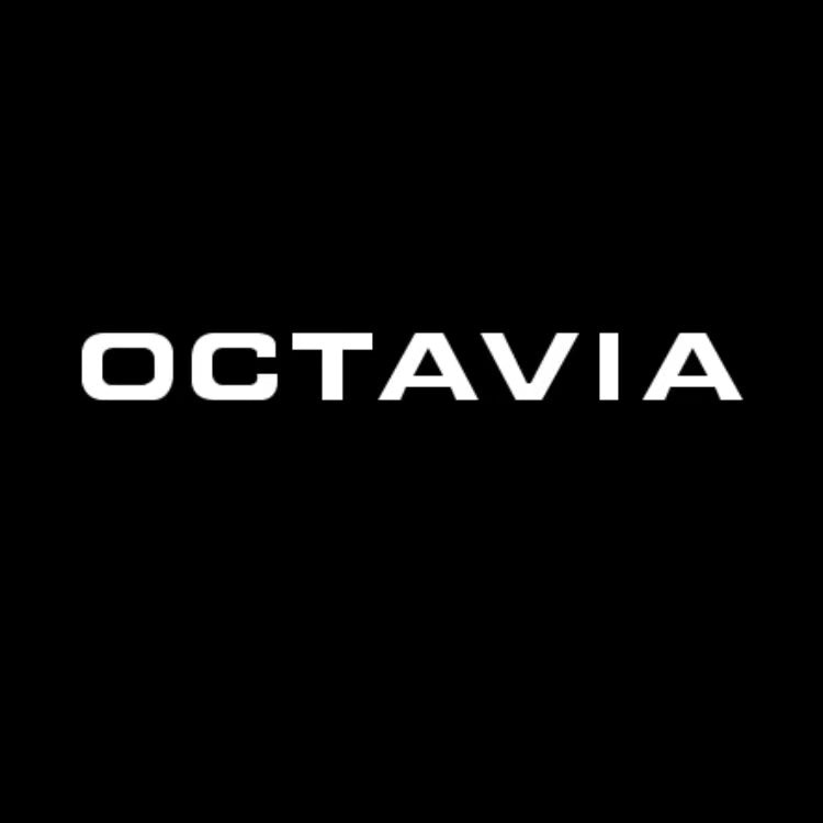 SKODA OCTAVIA LOGO LIGHTS Nr.108 (Menge 1 = 2 Logo Film / 2 Türlichter)