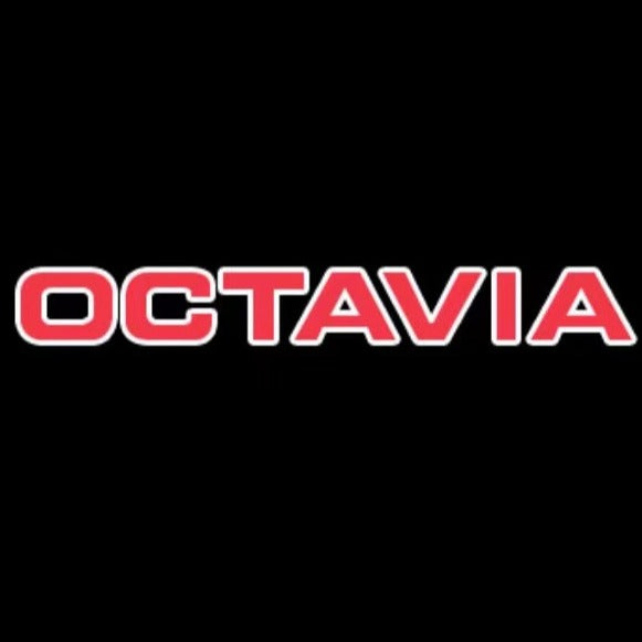 SKODA OCTAVIA LOGO LIGHTS Nr.106 (Menge 1 = 2 Logo Film / 2 Türlichter)