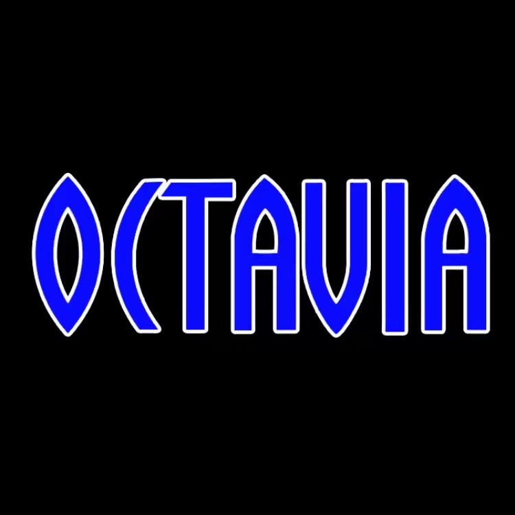 LUCI PROIETTORI LOGO SKODA Nr.102 (quantità 1 = 2 Logo Film / 2 luci porta)
