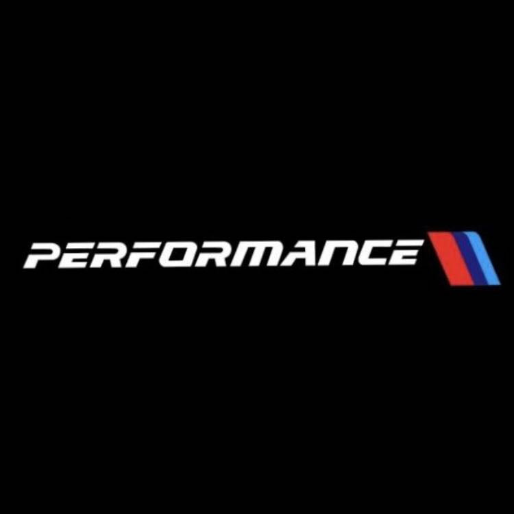 LUCI PROIETTORI CON LOGO BMW Nr.15 (quantità 1 = 1 set / 2 luci porta)