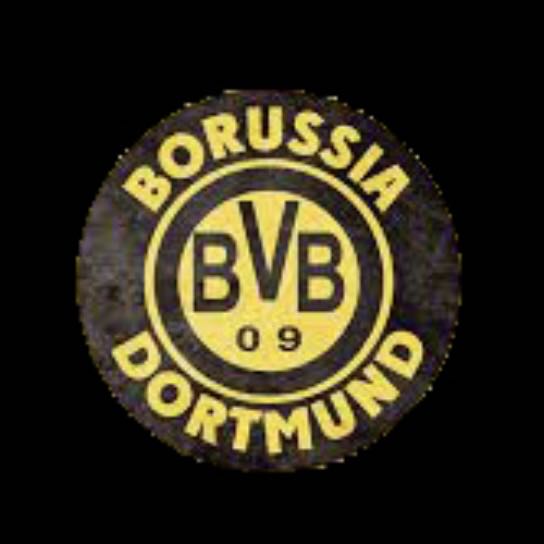 BVB DORTMUND Fútbol CLUB Logo Nr.235 (cantidad 1 = 2 Logo Films /2 luces de puerta)