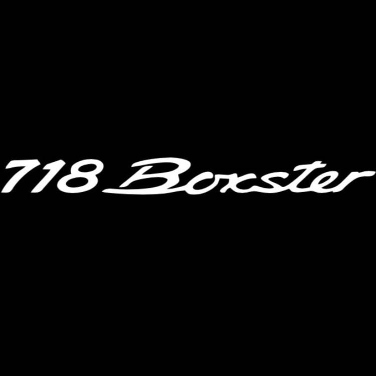 PORSCHE Boxster S LOGO PROJECTOT LIGHTS Nr.17 (quantità 1 = 2 Logo Film / 2 luci porta)