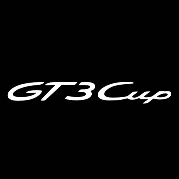 LUCES DE PROYECTOR DE LOGOTIPO ORIGINAL PORSCHE N ° 03 (cantidad 1 = 2 Película de logotipo / 2 luces de puerta)