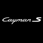 LUCI PORSCHE Cayman LOGO PROJECTOT Nr.10 (quantità 1 = 2 Logo Film / 2 luci porte)