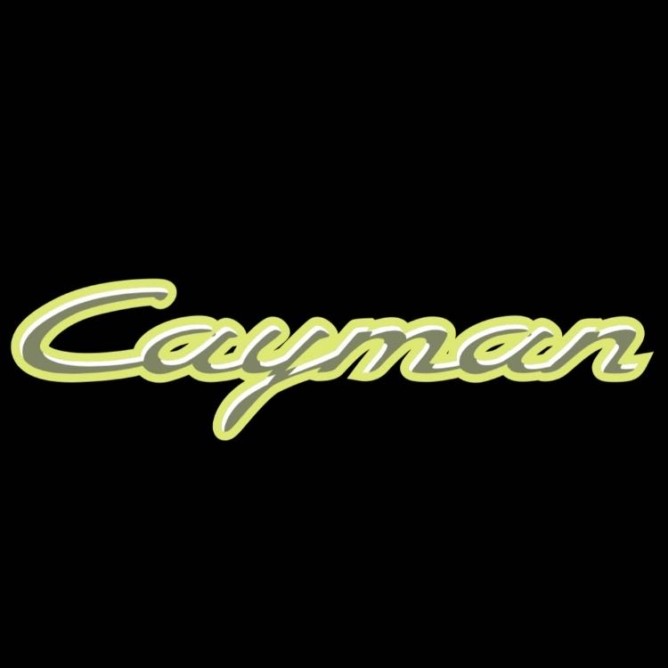 PORSCHE Cayman LOGO PROJECTOT LIGHTS Nr.10 (Menge 1 = 2 Logo Film/2 Türleuchten)