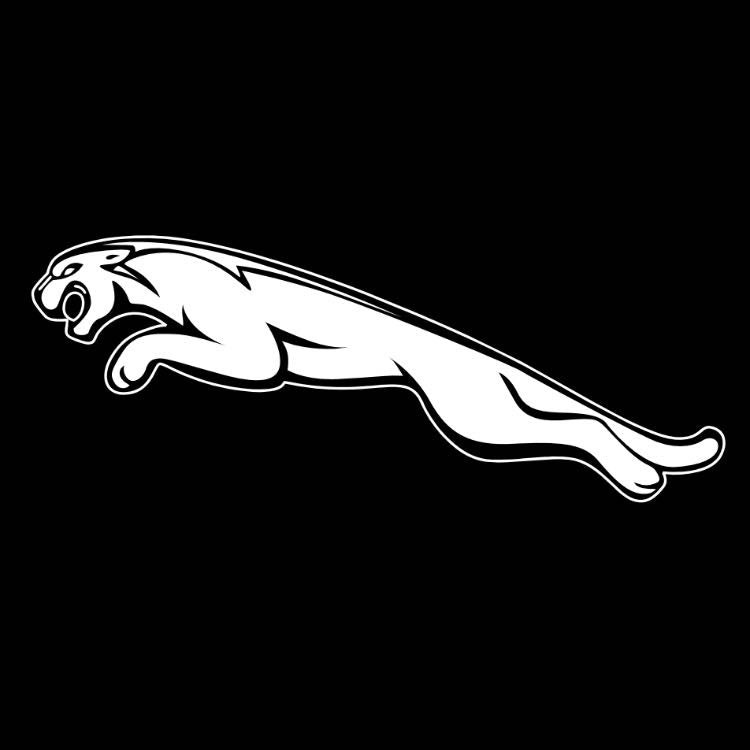 JAGUAR LOGO PROJECROTR LIGHTS Nr.07 (الكمية 1 = 1 مجموعة / 2 أضواء باب)