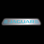 JAGUAR LOGO PROJECROTR LIGHTS Nr.23 (Menge 1 = 1 Sets/2 Türlichter)