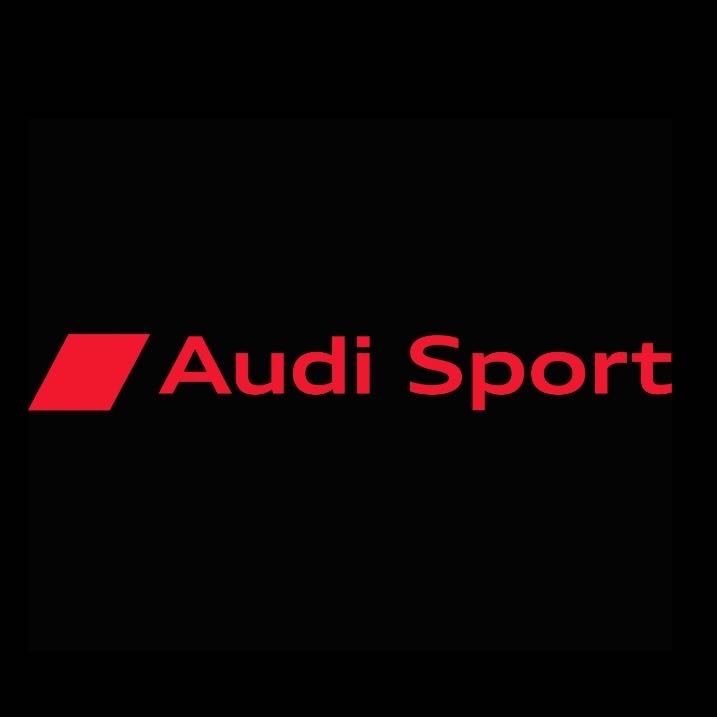 AUDI LOGO PROJECT LIGHTS Nr.111 (quantità 1= 2 Logo Films /2 porta luci）