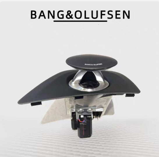 AUDI  Q8 / Q8 etron / SQ8 / RSQ8  - B & O  LED Advanced Sound System