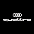 AUDI LOGO PROJECTOT LIGHTS Nr.19 (quantità 1 = 2 Logo Films /2 luci porta)