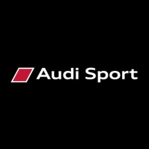 AUDI LOGO PROJECTOT LIGHTS Nr.69 (quantità 1 = 2 Logo Films /2 luci porta)