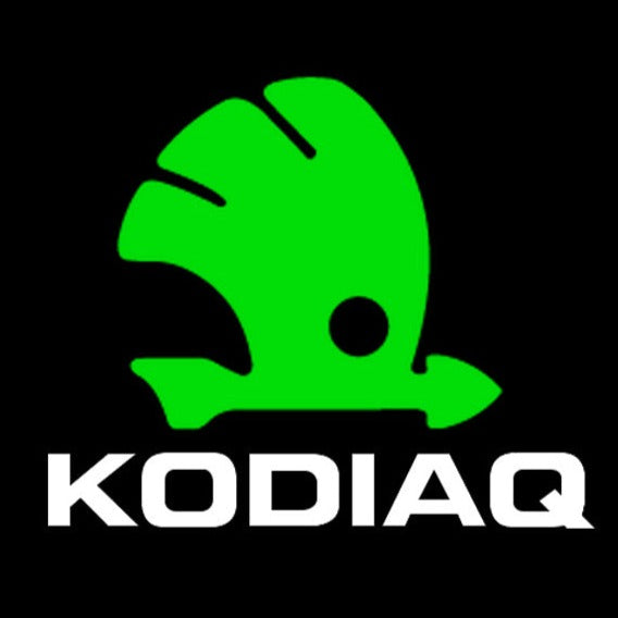 SKODA KODIAQ LOGO PROJECTOT أضواء Nr.76 (الكمية 1 = 2 شعار فيلم / 2 أضواء الباب)