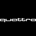 AUDI LOGO PROJECT LIGHTS Nr.98 (quantità 1= 2 Logo Films /2 porta luci）
