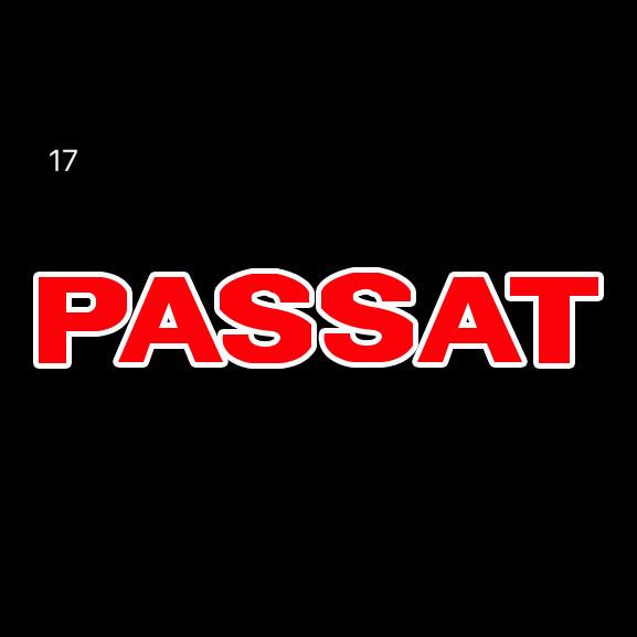 Volkswagen Türleuchten PASSAT Logo N.95 (Menge 1 = 2 Logofolien /2 Türleuchten)