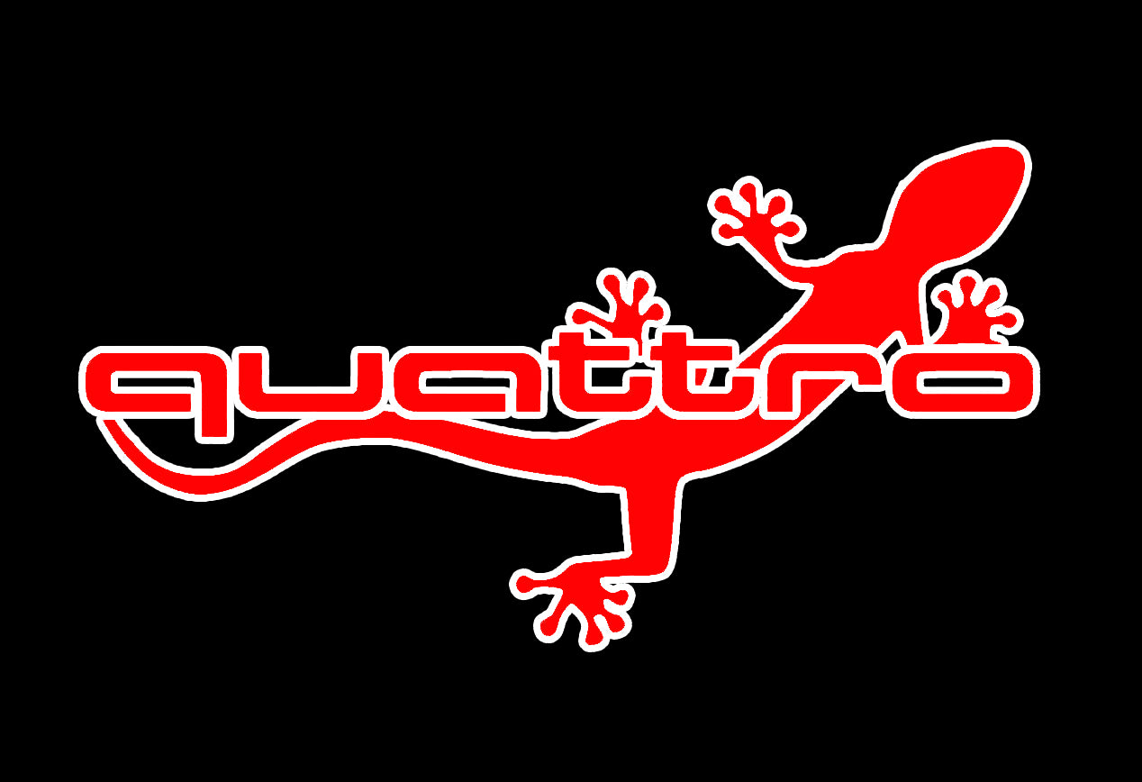 AUDI QUATTRO GECKO LOGO PROJECTOR LIGHTS Nr.63 (الكمية 1 = 2 فيلم شعار / 2 باب)