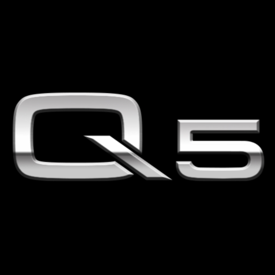 AUDI LOGO PROJECTOT LIGHTS Nr.101 (الكمية 1 = 2 Logo Films /2 أضواء الباب)