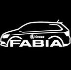 SKODA FABIA 6Y LOGO PROJECTOT LIGHTS Nr.19 (quantité 1 = 2 Logo Films /2 feux de porte)