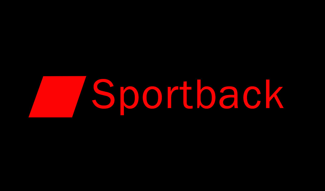 LUCI PROIETTORI LOGO AUDI Nr.110 (quantità 1 = 2 Pellicole Logo / 2 luci porta)
