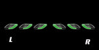 Maserati LOGO PROJECROTR LIGHTS Nr.01 (Anzahl 1 = 1 Sets / 2 Türleuchten)