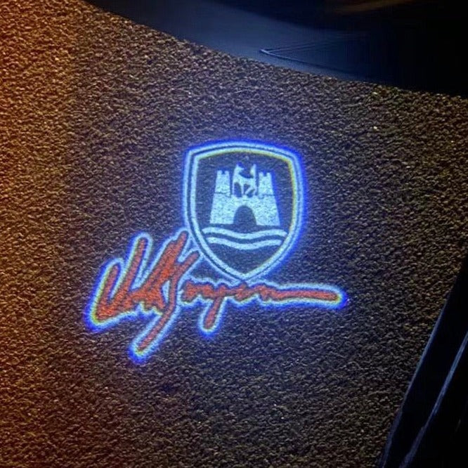 فولكس فاجن علامة مصباح الباب رقم 162 ؛ ؟